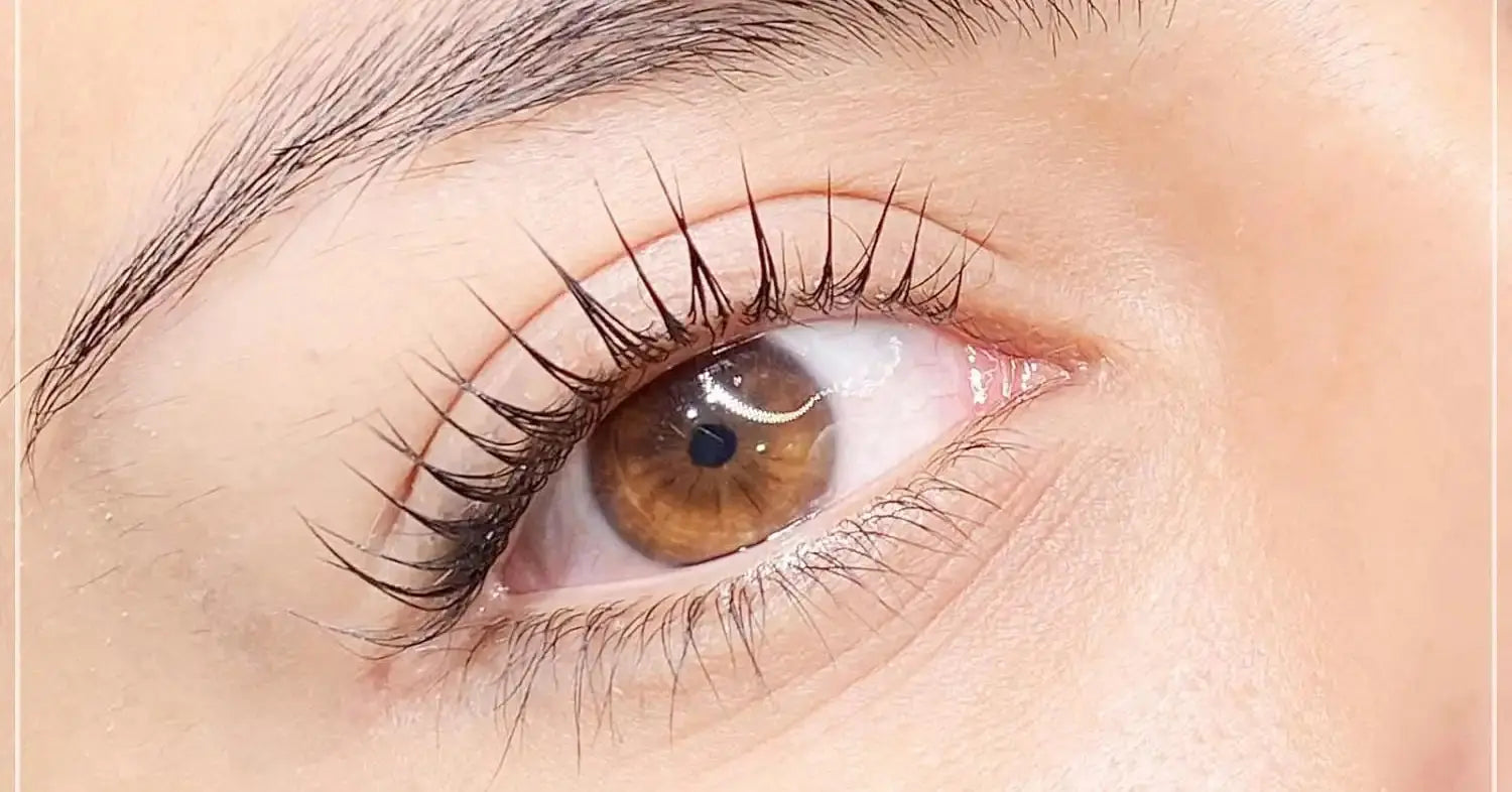 Rehaussement de cils Lash Beauty Dinan