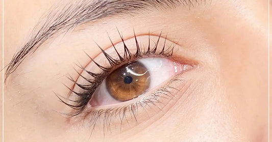 Rehaussement de cils Lash Beauty Dinan