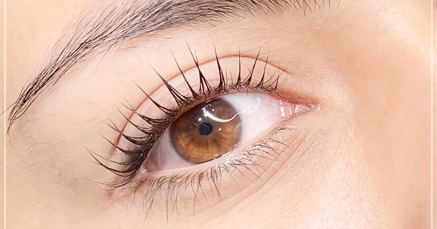 Rehaussement de cils Lash Beauty Dinan