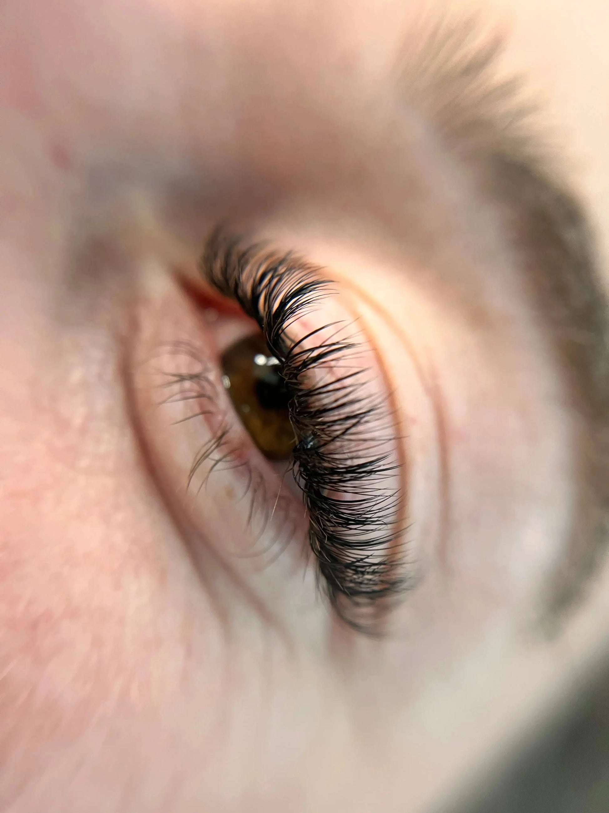 Pose mixte 🎀 Lash Beauty Dinan