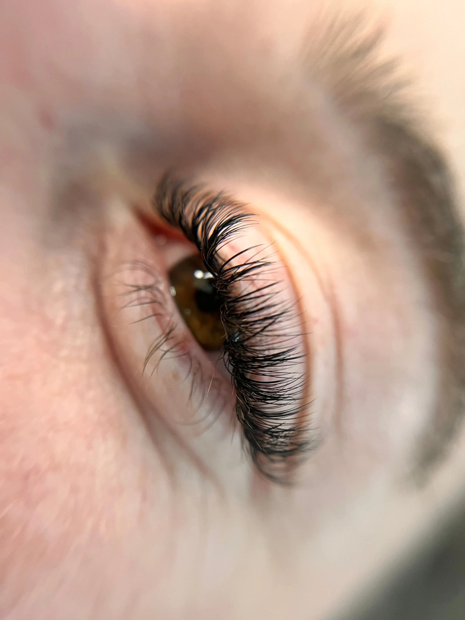 Teinture de Cils à Dinan – Regard intense et naturel ✨ Lash Beauty Dinan